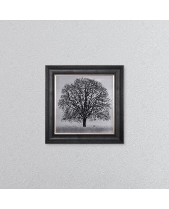 Paveikslas "Winter Tree"